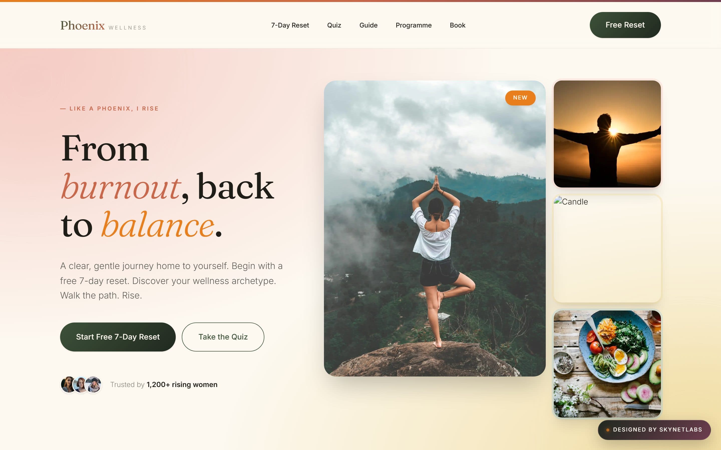 Phoenix Wellness Funnel — live screenshot
